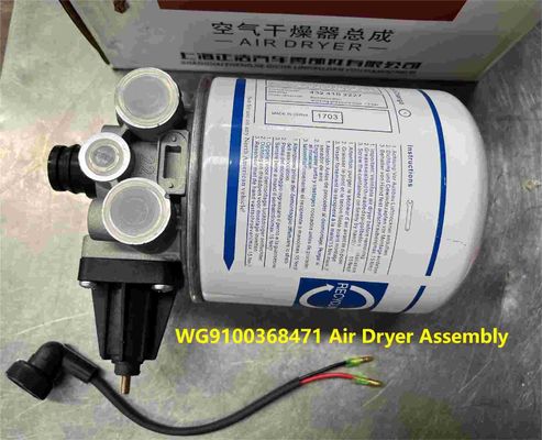 Dieselmotoren Teile Lufttrockner WG9100368471 für Howo Truck