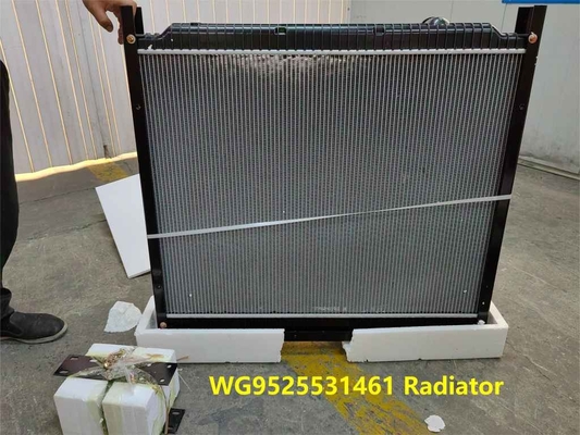 Radiator Assy WG9525531461 HOWO Lkw-Teile