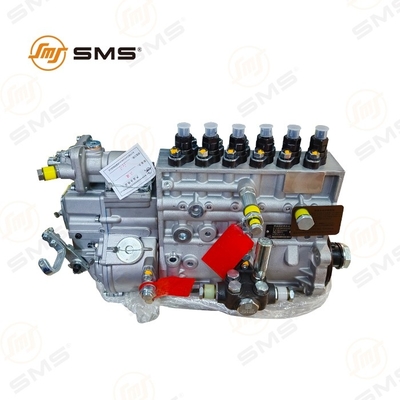 Injektionspumpe Vg1246080097 HOWO Lkw-Teile