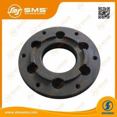612630060093 Shacman Fan-Platte Wp12