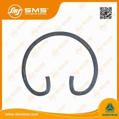 LKW-Teile Soem-ODM HOWO, die Ring Wd 615 WG1560030012 behalten