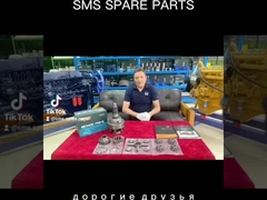 AZ9231320171 Differenzmontage HOWO Lkw-Teile